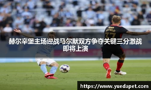 赫尔辛堡主场迎战马尔默双方争夺关键三分激战即将上演